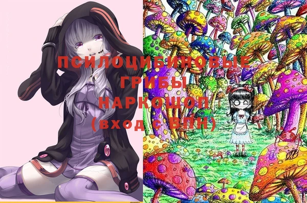 бошки Надым