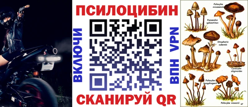 наркота  Пересвет  блэк спрут зеркало  Псилоцибиновые грибы Psilocybe 